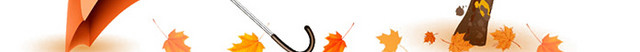 简约枫叶立秋BANNER
