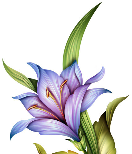 手绘兰花