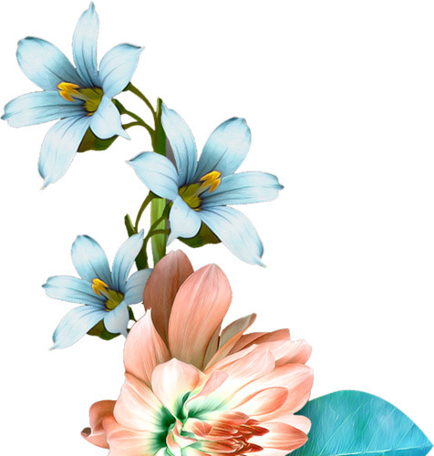 彩绘兰花