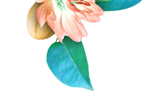 彩绘兰花