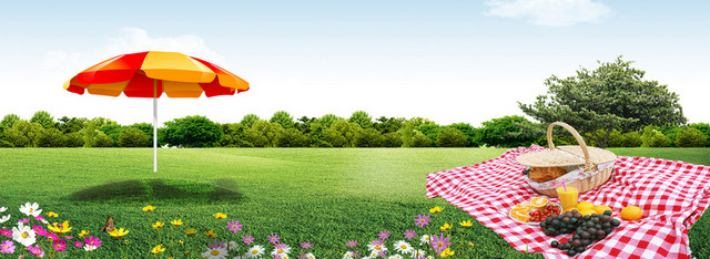 旅游草坪度假清新背景BANNER