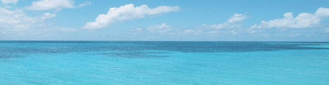 旅游海景唯美背景BANNER
