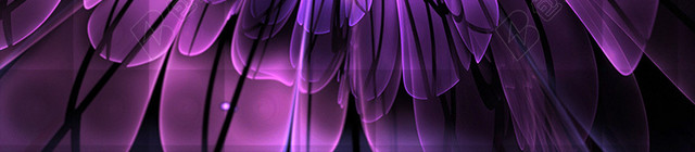 炫彩紫色花朵背景