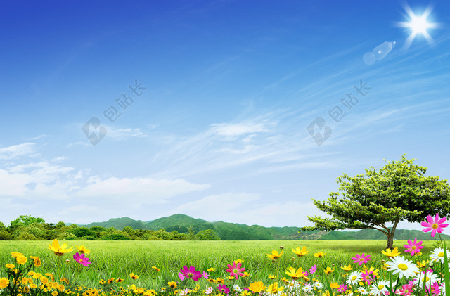 蓝色天空绿草地背景