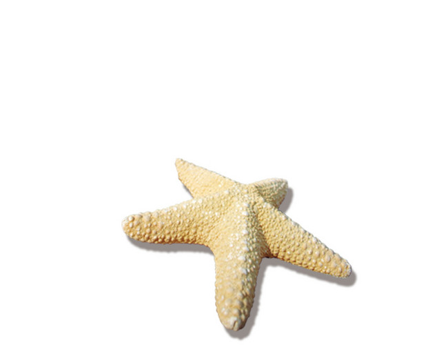 海星星