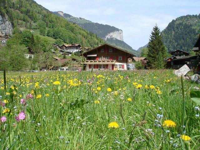瑞士 山 房子 景观 风景 自然 户外 景区 土地 宁静