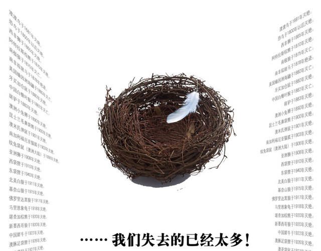 保护动物公益海报设计
