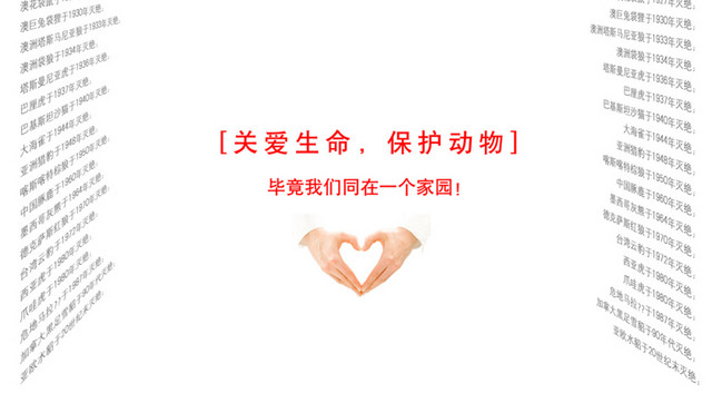 保护动物公益海报设计