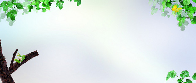 春天淘宝春季服饰清新背景BANNER