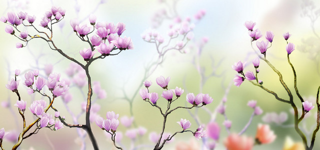 春天唯美粉色花朵背景BANNER