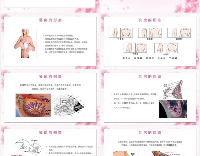 粉色小清新唯美花瓣花朵关爱女性乳房护理知识讲座主题PPT模板