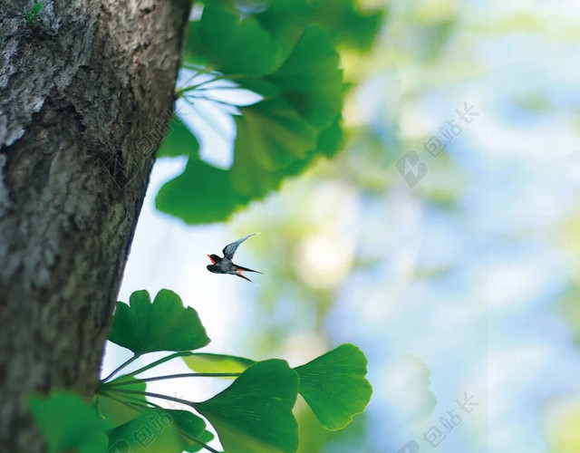 二十四节气立春绿色清新风景海报
