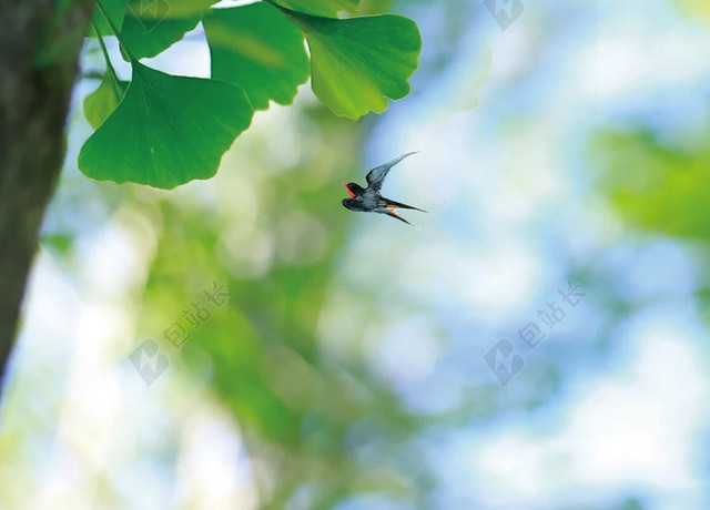 二十四节气立春绿色清新风景海报
