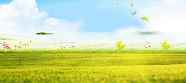 春天清新大草坪花朵树叶背景BANNER