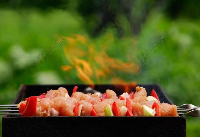 烤架 烧烤 火 肉 家禽 土耳其肉 洋葱 烤羊肉串 土耳其