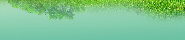 春天清新草坪树蓝天白云背景
