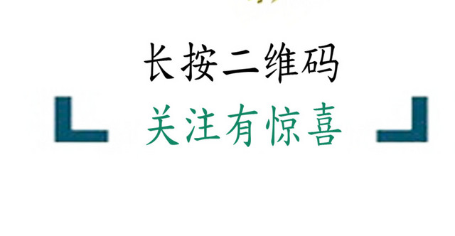 个性指纹二维码