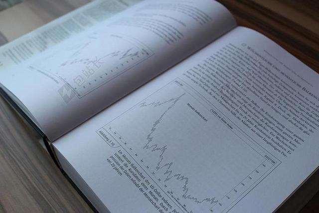 本书 内容 专业阅读 TRADINGBUCH