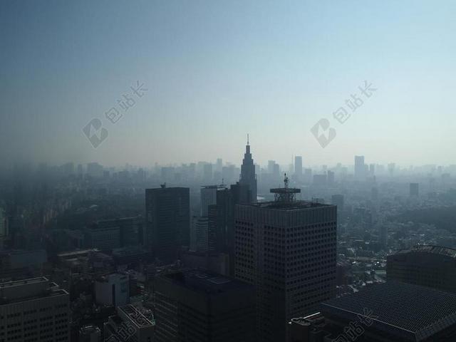 东京 上午 新宿 霾 高层建筑 结构 天际线 城市 市容