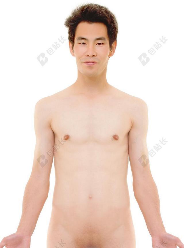 解剖 人类 男 上部 身体 生物学 科学 医药 裸 皮肤