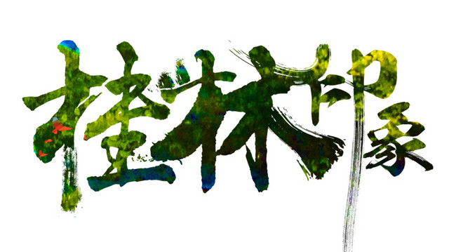 桂林印象