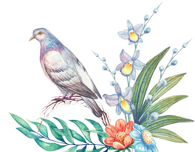 手绘水彩花鸟花草