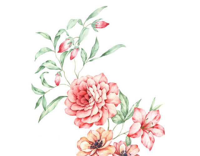 手绘花植物