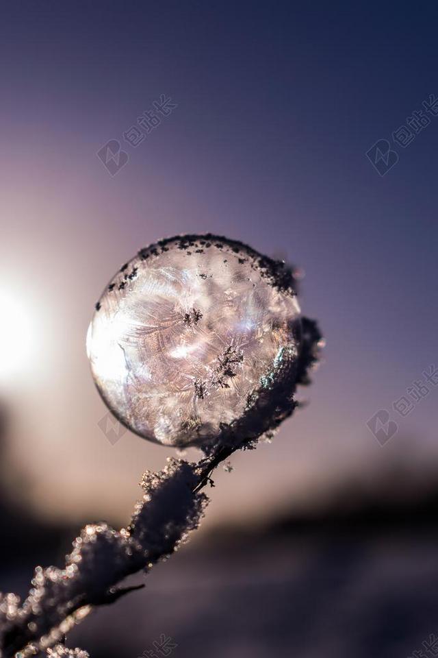 肥皂泡沫 冻结 冰冻泡泡 冬天 EISKRISTALLE 寒冬