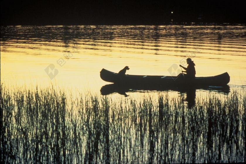 黄黑运动休闲水面上的船只人和狗细线划船运动背景图片