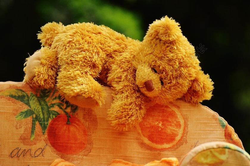 熊 沙发 甜 可爱 毛绒 泰迪熊 滑稽 舒适 冷静 玩具