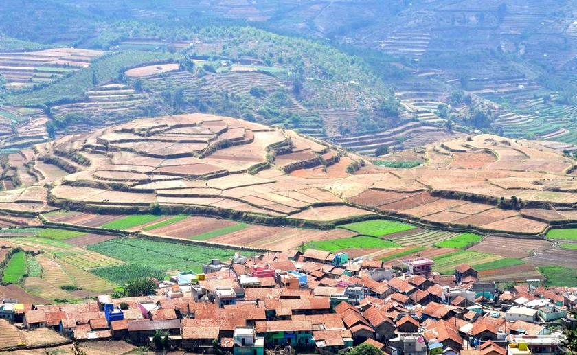 水稻梯田 梯田 培养 阳台 农场 农业 水稻 小山边 谷