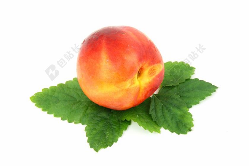食品 新鲜 水果 孤立 叶 油桃 有机 桃 红色 成熟