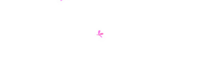 漂浮花瓣