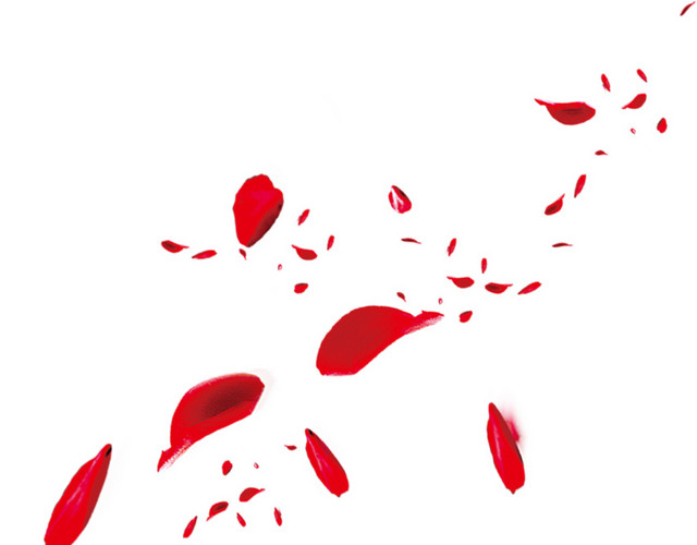 漂浮花瓣素材