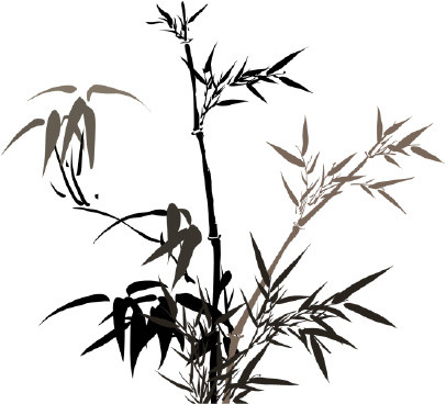 中国风竹子PNG素材