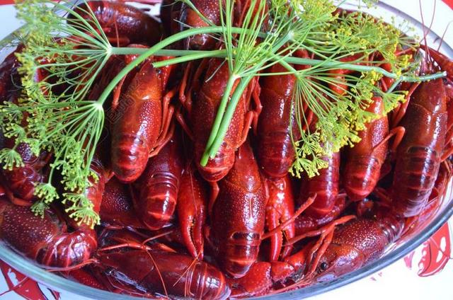小龙虾 夏末 小龙虾 垫 甲壳类动物 海鲜 瑞典 组织
