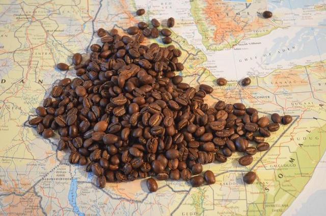 咖啡 地图 埃塞俄比亚 豆类 非洲 SIDAMO