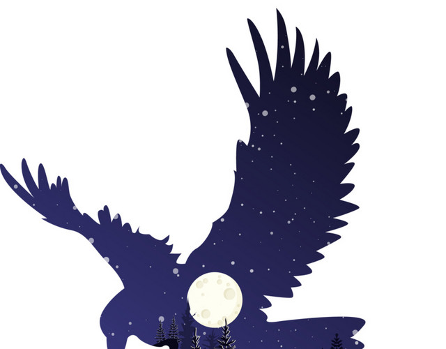 小清新手绘夜晚老鹰插画装饰