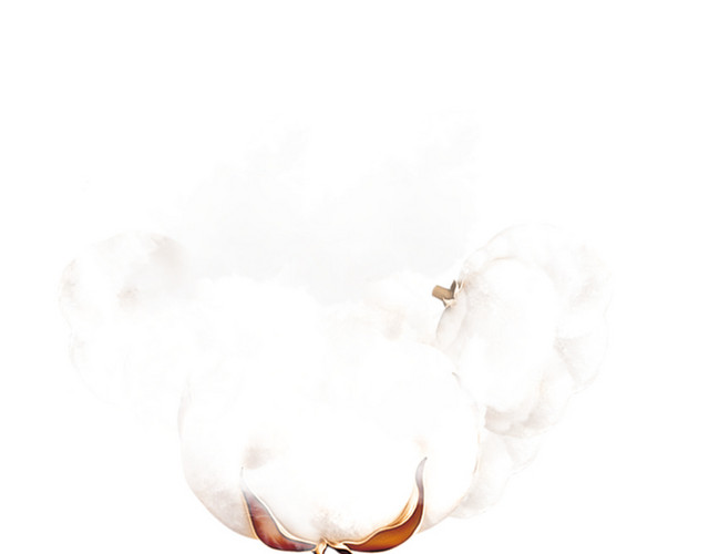 唯美精美棉花卫生巾