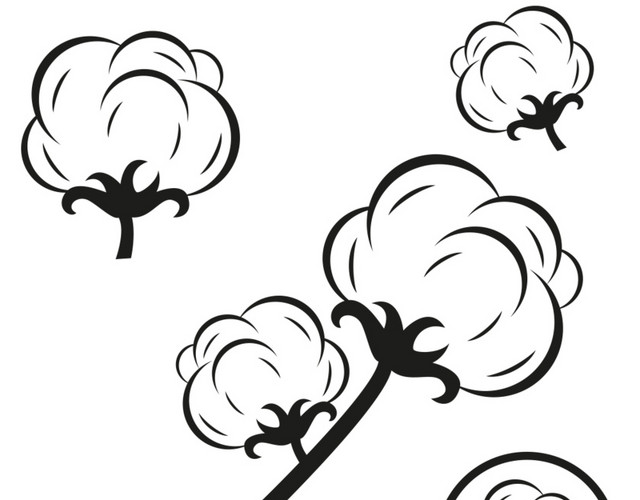 棉花