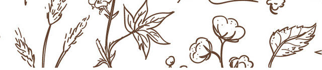 棉花矢量素材
