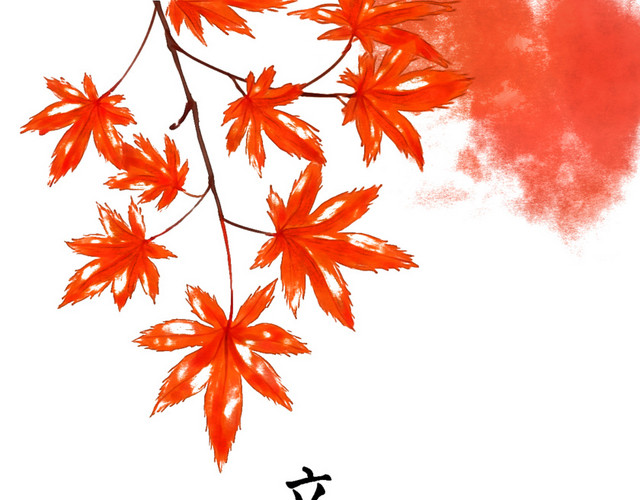 立冬枫叶