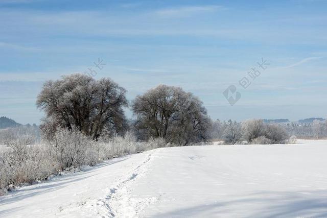 景观 冬天 雪 寒冬 白 雪魔 浪漫 树木 分支机构