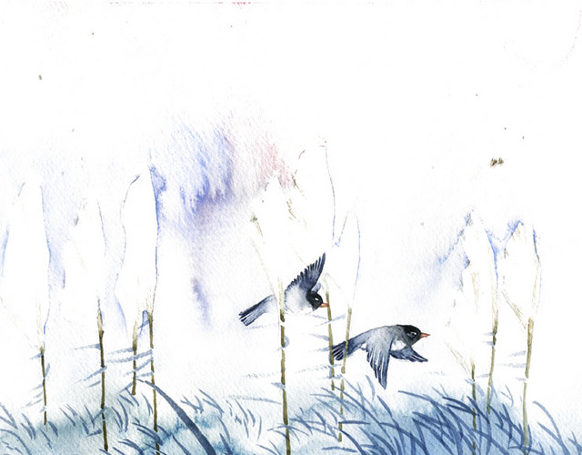 芦苇丛插画立冬