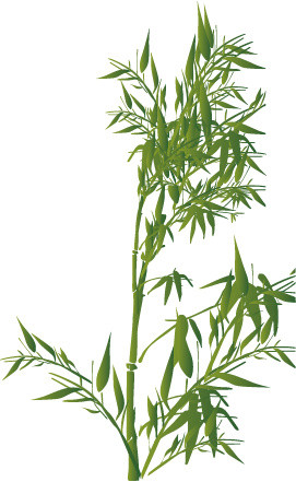 扁平化竹子矢量素材