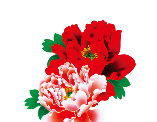 牡丹花 中国风 花朵