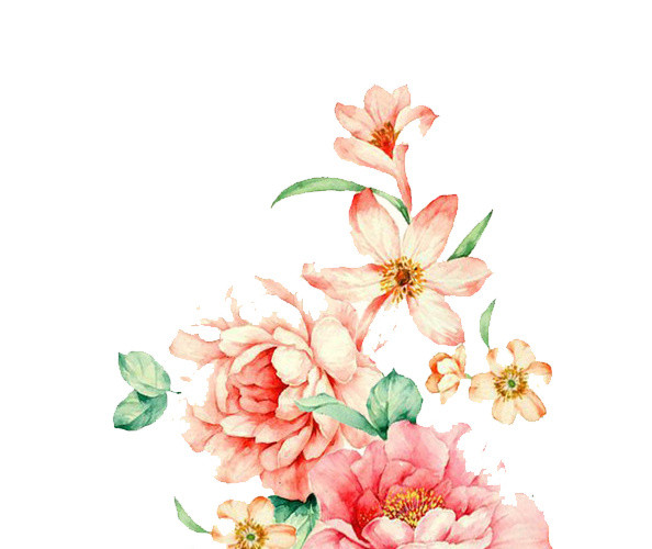 手绘花卉