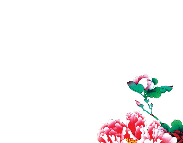 牡丹花