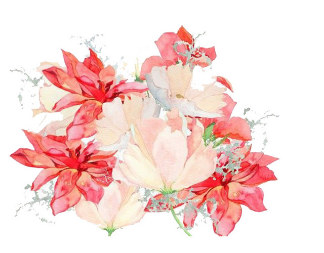 手绘花卉
