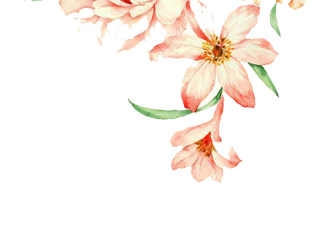 手绘花朵